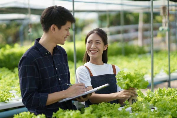 Can Hydroponic Gardening at Home Enhance Nutritional Intake and Well-being?